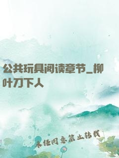 公共玩具阅读章节