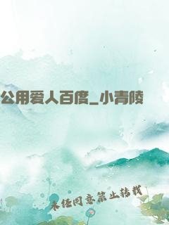 公用爱人百度