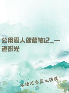 公用爱人菠萝笔记
