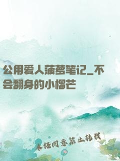 公用爱人菠萝笔记