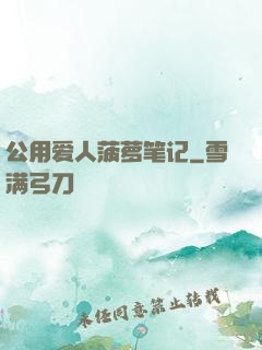 公用爱人菠萝笔记