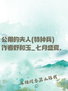 公用的夫人(特种兵)作者野和玉