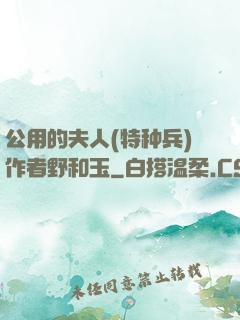 公用的夫人(特种兵)作者野和玉