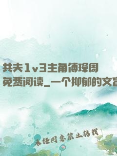 共夫1v3主角傅琛周免费阅读
