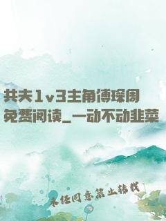 共夫1v3主角傅琛周免费阅读