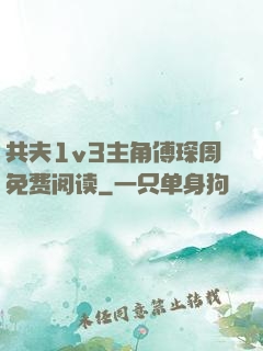 共夫1v3主角傅琛周免费阅读