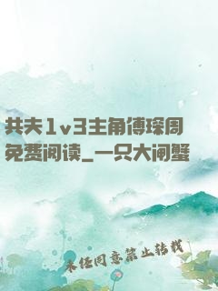 共夫1v3主角傅琛周免费阅读
