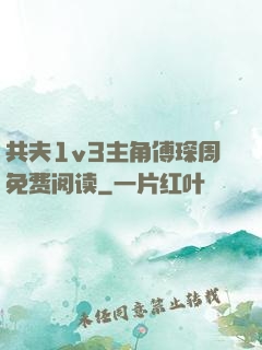 共夫1v3主角傅琛周免费阅读