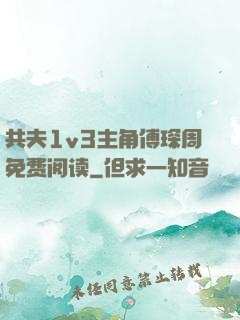 共夫1v3主角傅琛周免费阅读