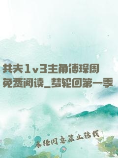 共夫1v3主角傅琛周免费阅读