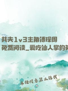 共夫1v3主角傅琛周免费阅读