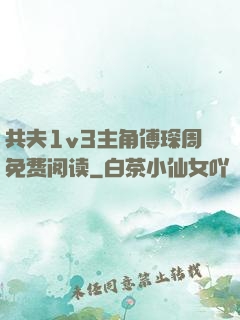 共夫1v3主角傅琛周免费阅读