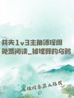 共夫1v3主角傅琛周免费阅读