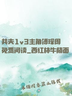 共夫1v3主角傅琛周免费阅读