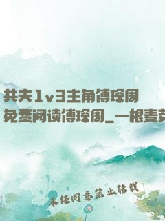 共夫1v3主角傅琛周免费阅读傅琛周