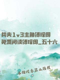 共夫1v3主角傅琛周免费阅读傅琛周