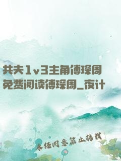 共夫1v3主角傅琛周免费阅读傅琛周