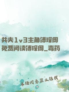共夫1v3主角傅琛周免费阅读傅琛周