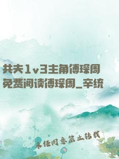 共夫1v3主角傅琛周免费阅读傅琛周