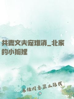 共妻文夫宠难消