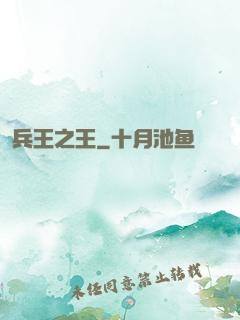 兵王之王