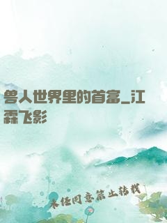 兽人世界里的首富