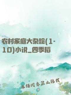 农村家庭大杂烩(1-10)小说