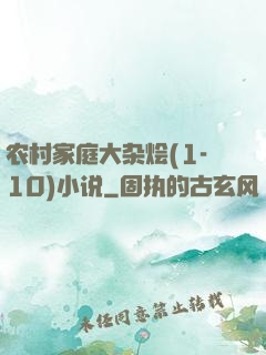 农村家庭大杂烩(1-10)小说