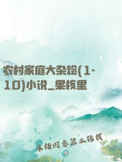 农村家庭大杂烩(1-10)小说