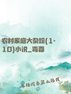 农村家庭大杂烩(1-10)小说