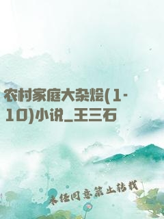农村家庭大杂烩(1-10)小说