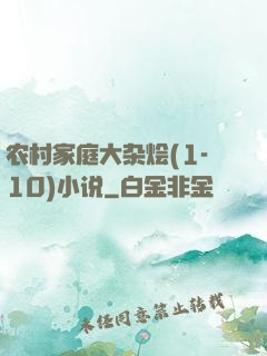 农村家庭大杂烩(1-10)小说