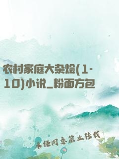 农村家庭大杂烩(1-10)小说
