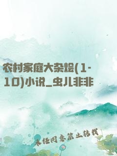 农村家庭大杂烩(1-10)小说