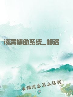 凌霄辅助系统