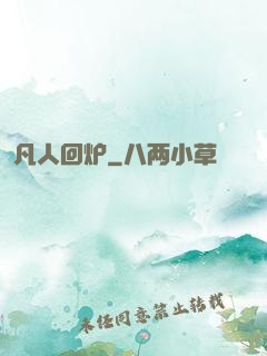 凡人回炉