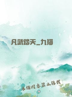 凡武踏天