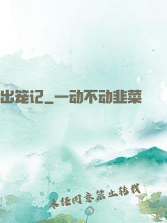 出笼记