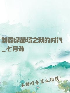制霸绿茵场之我的时代