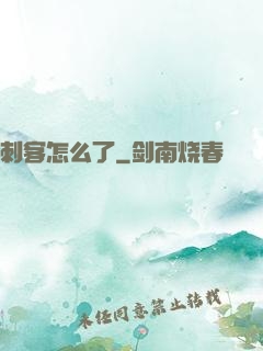 刺客怎么了