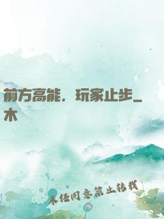 前方高能，玩家止步