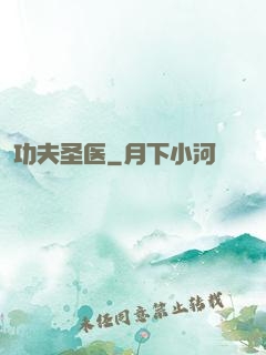 功夫圣医