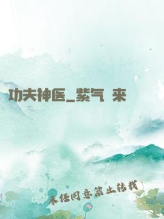 功夫神医