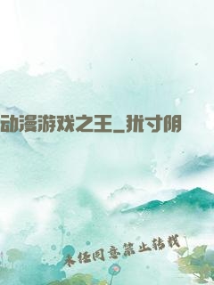 动漫游戏之王