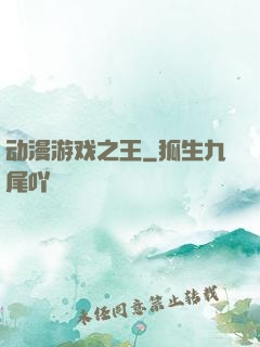 动漫游戏之王