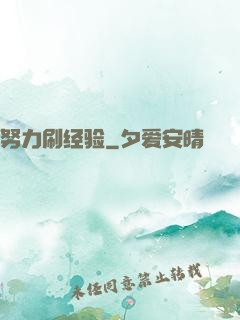 努力刷经验