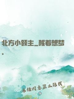 北方小领主
