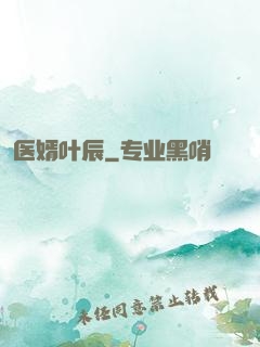 医婿叶辰