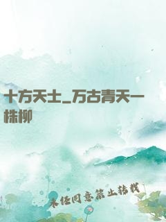 十方天士
