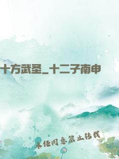 十方武圣